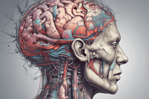 Neurological Evaluation of Head Injuries