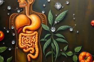 Nutrition and Digestive System Quiz