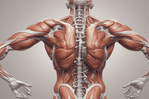 Muscles in Organ Systems Quiz