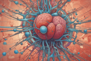 Pathophysiology of Coagulation Disorders and Medications