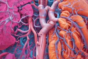 Pulmonary Volumes and Capacities