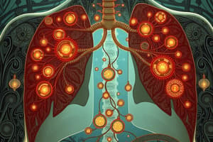 Human Respiratory System Overview