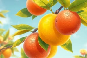 Citrus Fruits in Asia