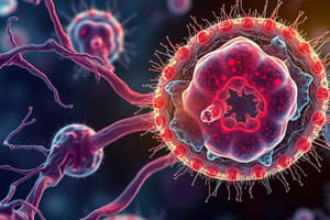 Prokaryotic Cell Labeling Quiz