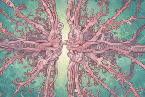 Mechanism of HR in Human Cancers