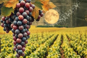 Grape Growing Seasons Overview