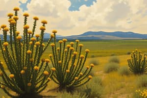 Cultivation and Benefits of Guayule and Ricino