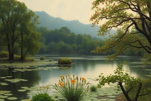 Archaeobotany: Plant Domestication and Uses