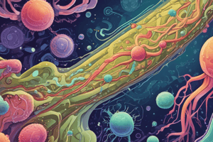 Microorganisms: The Unseen World