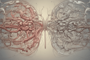 Respiratory System Pressure Dynamics Quiz