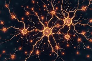 Synaptic Transmission and Electrical Synapses