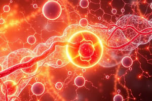 Introduction to Oxidative Phosphorylation