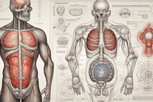 Hepcidin and Iron Metabolism