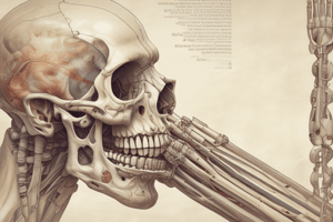 Biology Chapter 9 Fibrous Joints