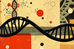 Nucleic Acids: Structure and Function