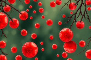 Hematopoiesis and Anemia Quiz