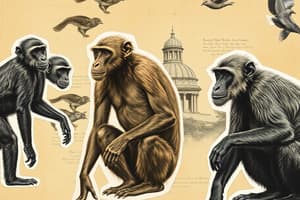 ANTH 1210: Living Primates