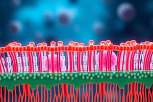 Biologia Cellulare: Membrane e Trasporto