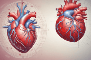 Cardiovascular Physiology: Blood Pressure