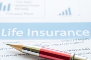 Life Insurance Basics Flashcards