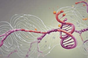 Initiation of Protein Synthesis