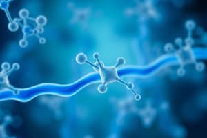 Biomolécules et leurs fonctions