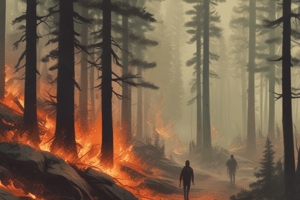 TEMA 6. Incendios Forestales I (ADAMS)