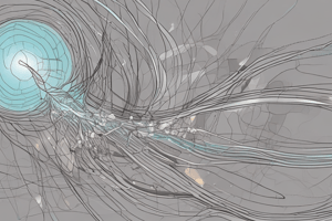 Action Potential in Neurons