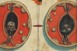 Mitosis and Cell Division