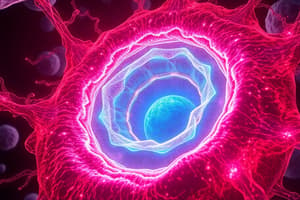 Cell Nucleus Structure Overview