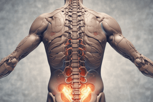 Spinal Shock and Spinal Cord Injuries Quiz