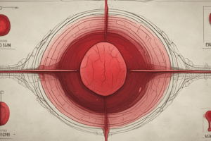 Blood Type and Inheritance-forensic