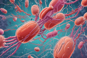 Acinetobacter Baumannii Infections