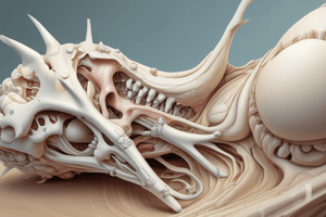 Cartilage and Bone Development