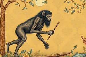 Hominin Evolution and Tool Use Quiz