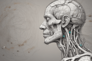 Pain Management: Introduction to Dorsal Root Ganglia and Gate Theory