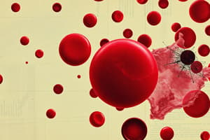 Microcytic Anemia Overview