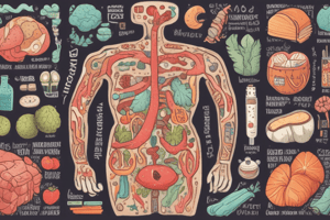 Carbohydrate Digestion and Absorption