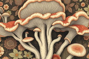 Introduction to Fungi