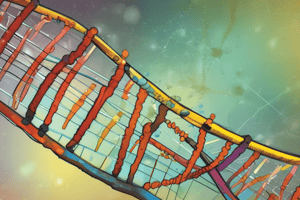 Capillary DNA Analysis