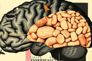 Neuroimaging Techniques Overview