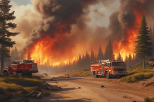 Forest Fire Response Process