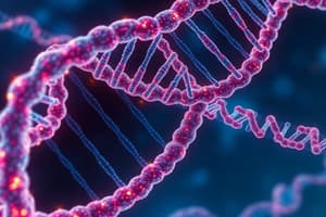 DNA Replication and Transcription Quiz