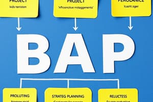 Definición de BAP: Análisis de Proyectos