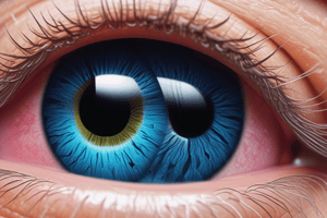 Corneal Anatomy Quiz