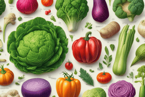 Group Vegetables by Edible Parts Quiz