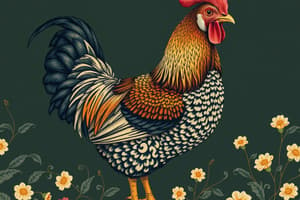 Poultry Breeds and Breeding Practices