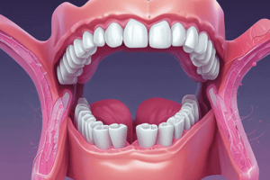 Dental Histopathology Quiz