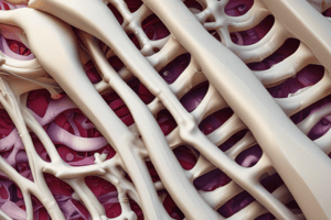 Lamellar and Compact Bone: Structure and Mechanics