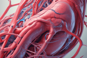 Vascular Diagnosis Chapter 64 Quiz